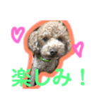 ツンデレモコちゃんの日常～効果音多め～（個別スタンプ：21）