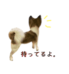 はにこさんときどきまめ太3（個別スタンプ：14）