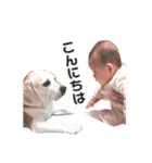 ちゃんまゆ（個別スタンプ：13）