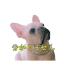 うーてんこの気持ち詰め合わせ（個別スタンプ：7）