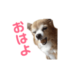 ミミちゃん♥️モモちゃん（個別スタンプ：1）