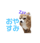 ミミちゃん♥️モモちゃん（個別スタンプ：2）