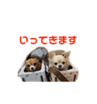 ミミちゃん♥️モモちゃん（個別スタンプ：5）