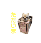 ミミちゃん♥️モモちゃん（個別スタンプ：6）