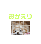 ミミちゃん♥️モモちゃん（個別スタンプ：7）