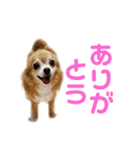 ミミちゃん♥️モモちゃん（個別スタンプ：9）