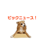 ミミちゃん♥️モモちゃん（個別スタンプ：12）