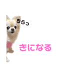 ミミちゃん♥️モモちゃん（個別スタンプ：16）