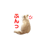 ミミちゃん♥️モモちゃん（個別スタンプ：17）