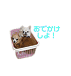 ミミちゃん♥️モモちゃん（個別スタンプ：25）