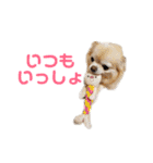 ミミちゃん♥️モモちゃん（個別スタンプ：26）