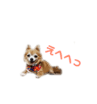 ミミちゃん♥️モモちゃん（個別スタンプ：30）