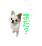 ミミちゃん♥️モモちゃん（個別スタンプ：35）
