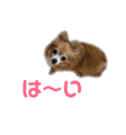 ミミちゃん♥️モモちゃん（個別スタンプ：38）
