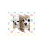 ミミちゃん♥️モモちゃん（個別スタンプ：40）