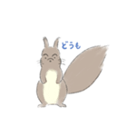 エゾリスです。（個別スタンプ：1）