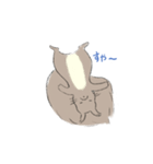 エゾリスです。（個別スタンプ：5）