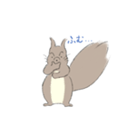 エゾリスです。（個別スタンプ：17）