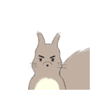 エゾリスです。（個別スタンプ：19）