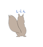 エゾリスです。（個別スタンプ：25）