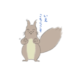 エゾリスです。（個別スタンプ：32）