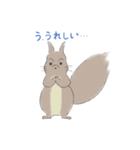 エゾリスです。（個別スタンプ：33）