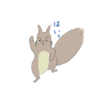 エゾリスです。（個別スタンプ：35）