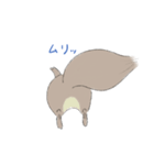 エゾリスです。（個別スタンプ：36）