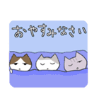 うちのねこさんスタンプ2（個別スタンプ：16）