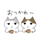 うちのねこさんスタンプ2（個別スタンプ：37）