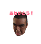 川島かもしれんスタンプ（個別スタンプ：6）