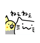 まったり猫としっかりオカメ（個別スタンプ：1）