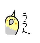 まったり猫としっかりオカメ（個別スタンプ：12）