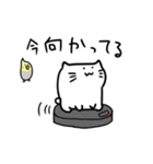 まったり猫としっかりオカメ（個別スタンプ：17）