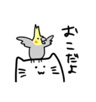 まったり猫としっかりオカメ（個別スタンプ：24）