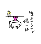 まったり猫としっかりオカメ（個別スタンプ：39）