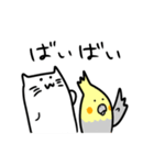 まったり猫としっかりオカメ（個別スタンプ：40）
