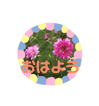 m19flower（個別スタンプ：1）