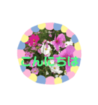 m19flower（個別スタンプ：2）