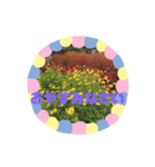 m19flower（個別スタンプ：3）