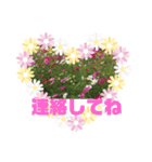 m19flower（個別スタンプ：4）