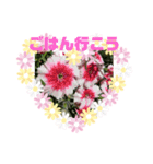 m19flower（個別スタンプ：5）