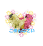 m19flower（個別スタンプ：6）
