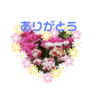 m19flower（個別スタンプ：7）