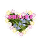 m19flower（個別スタンプ：8）