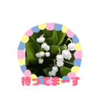 m19flower（個別スタンプ：9）