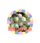 m19flower（個別スタンプ：10）