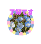m19flower（個別スタンプ：11）