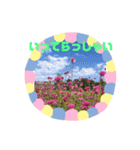 m19flower（個別スタンプ：14）