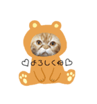 タグニャンず～もなか2（個別スタンプ：5）